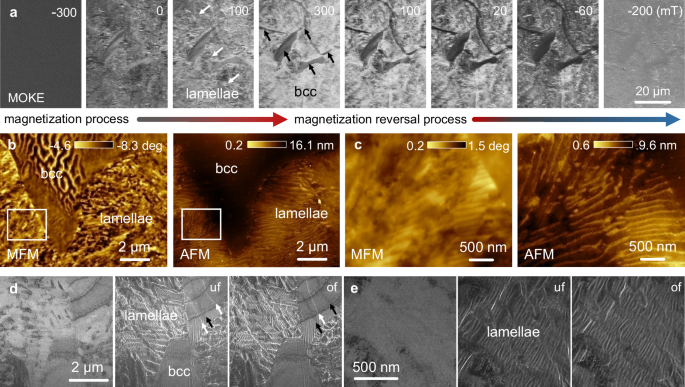 Fig. 4: Magnetic feature analysis of the TMA5 magnet.