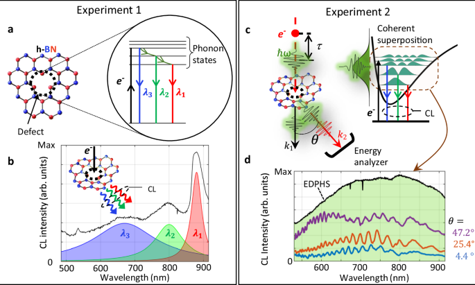 Fig. 1: Phonon-mediated electronic transitions and coherence.