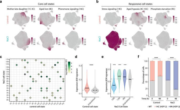Fig. 3: Transcriptome mapping unveils core and responsive cell states that determine fitness.