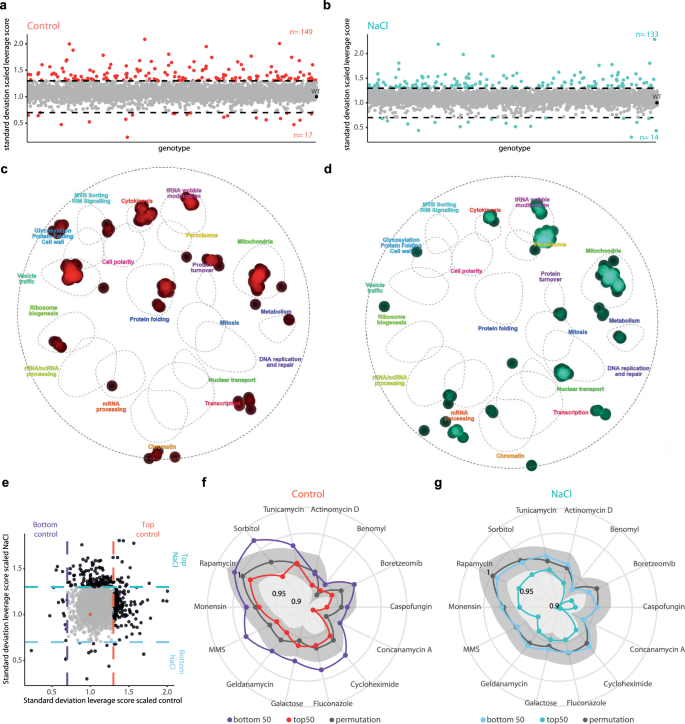 Fig. 5: Different cellular functions drive transcriptional heterogeneity under control and stress conditions.