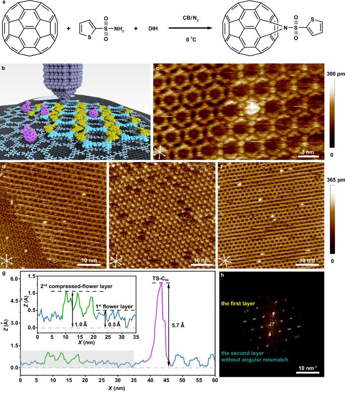Fig. 3: Post-modulation of the full-weak-bonded layer-by-layer assembly coordinated by TS-C60.