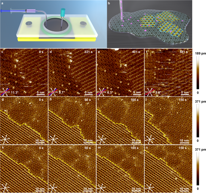 Fig. 4: Disassembly and reassembly of the full-weak-bonded layer-by-layer assembly.