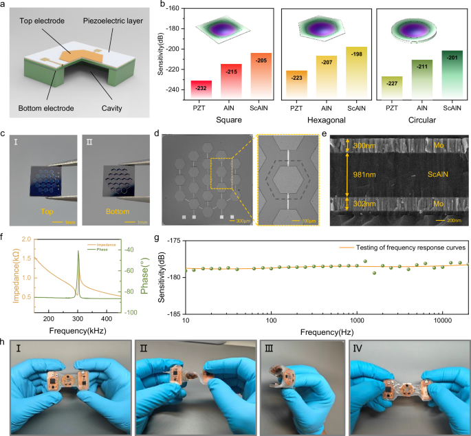 Fig. 2: Design principle and characterization of the device.