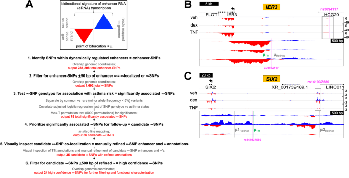 Fig. 1: Pipeline for discovery of novel asthma-SNP associations based on proximity to μ and examples of μ-SNP colocalization.