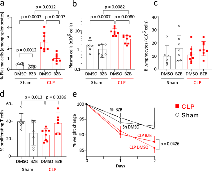 Fig. 4: In vivo depletion of CD138+ plasma cells improves T-cell proliferation after CLP.