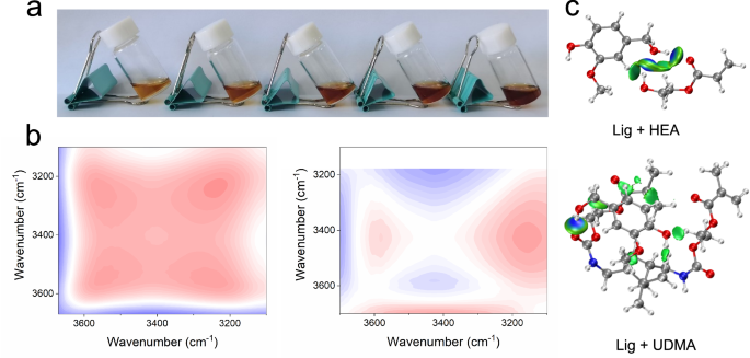 Fig. 2: The interaction between lignin and HEA.