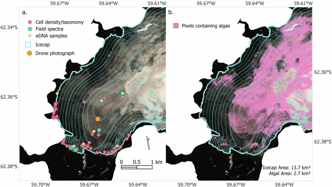 Fig. 2: WorldView 2 satellite image of the Robert Island ice cap and study area.