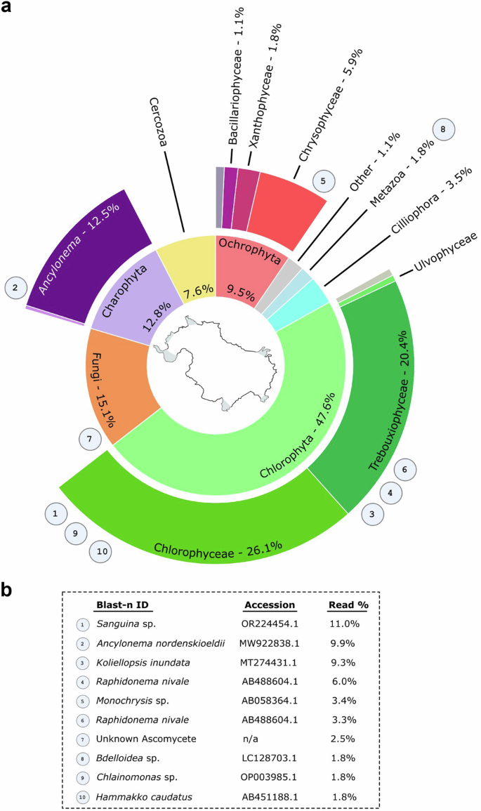 Fig. 5: Biological community overview of the Robert Island ice cap (South Shetland Islands, maritime Antarctic) from 18S metabarcoding.