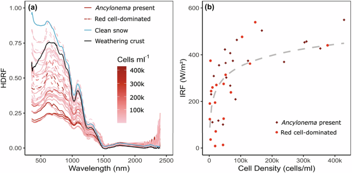 Fig. 7: Field spectral data from the Robert Island ice cap (South Shetland Islands, maritime Antarctic).