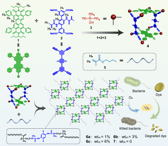 Fig. 1: Schematic of metallacage-crosslinked supramolecular networks.
