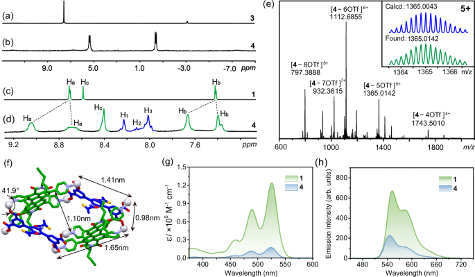Fig. 2: Characterization of metallacage 4.