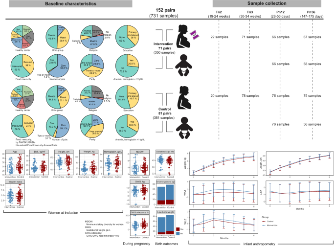 Fig. 1: Baseline characteristics, maternal and infant anthropometry, and sample collection timeline.