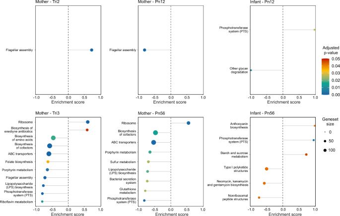 Fig. 6: Significantly enriched or depleted KEGG pathways associated with BEP supplementation in mothers and infants across time points.