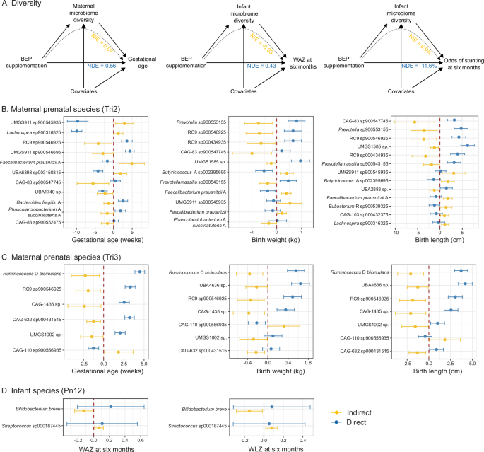 Fig. 7: Mediating effect of the microbiome on birth outcomes and infant anthropometry.