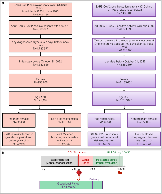 Fig. 1: Cohort selection.
