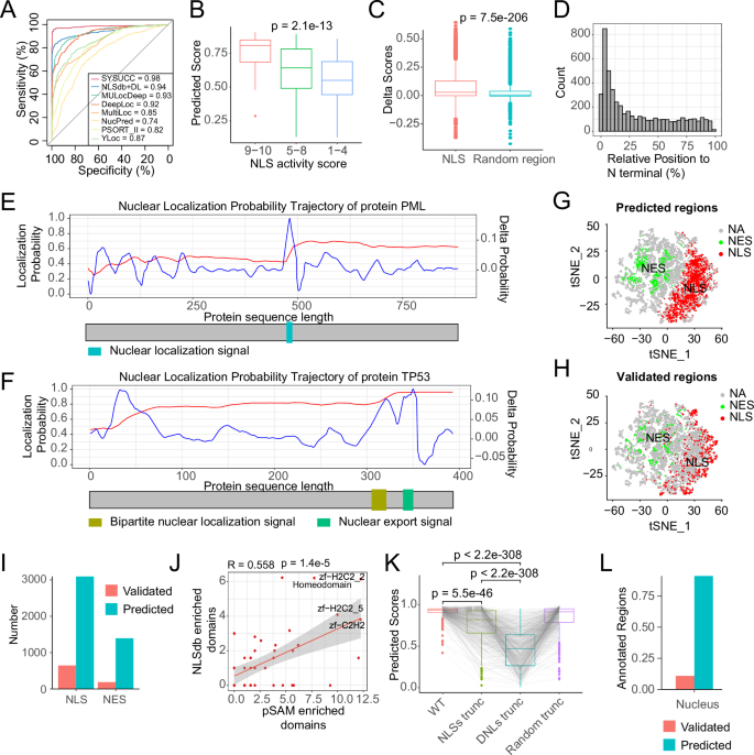 Fig. 2: Evaluation of the performance of the pSAM model and identification of DNLs with residue-level contribution analysis.