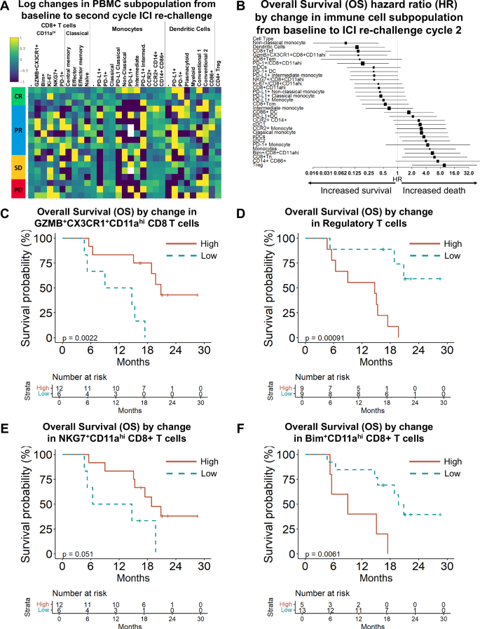 Fig. 2: Tumor effector T cell changes predict outcomes to immunotherapy re-challenge after radiotherapy and TPE.