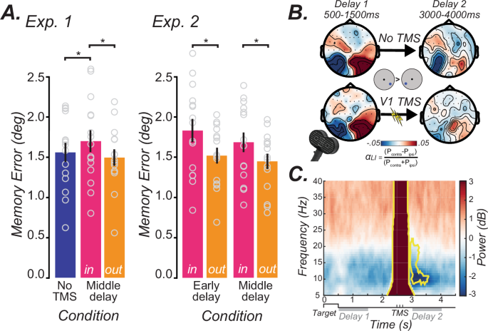 Fig. 2: Effects of TMS to V1 on working memory.