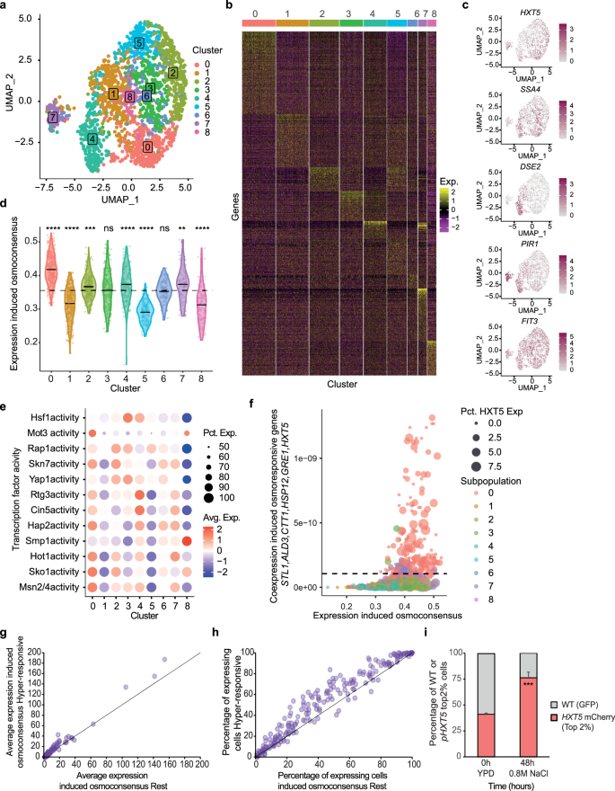 Fig. 3: Transcriptional heterogeneity shapes the adaptive capacity of the cells.