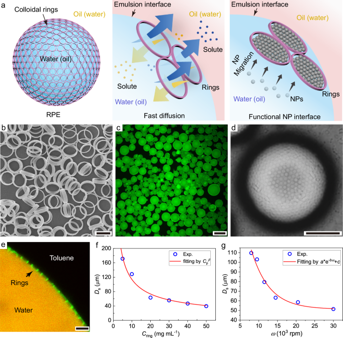 Fig. 1: Pickering emulsion stabilized by colloidal rings.