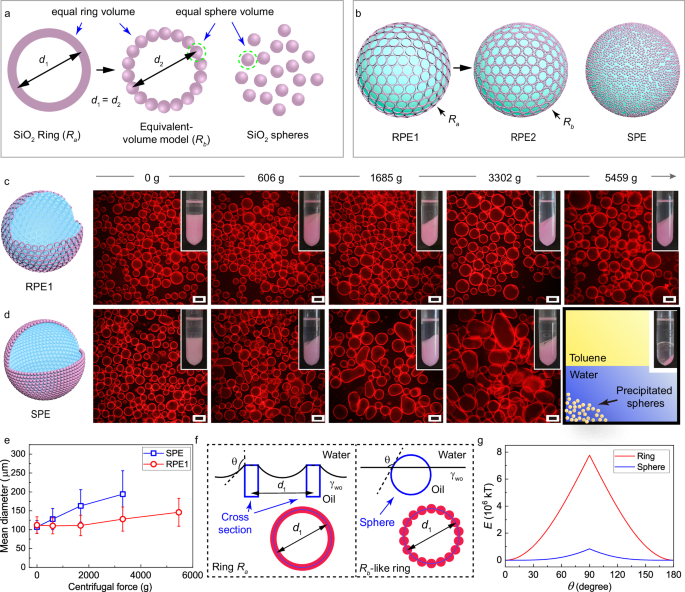 Fig. 2: Comparison of stability between RPE and SPE.