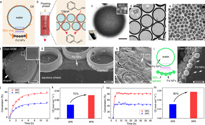 Fig. 4: NP-loaded RPE for batch and continuous flow interfacial catalysis.
