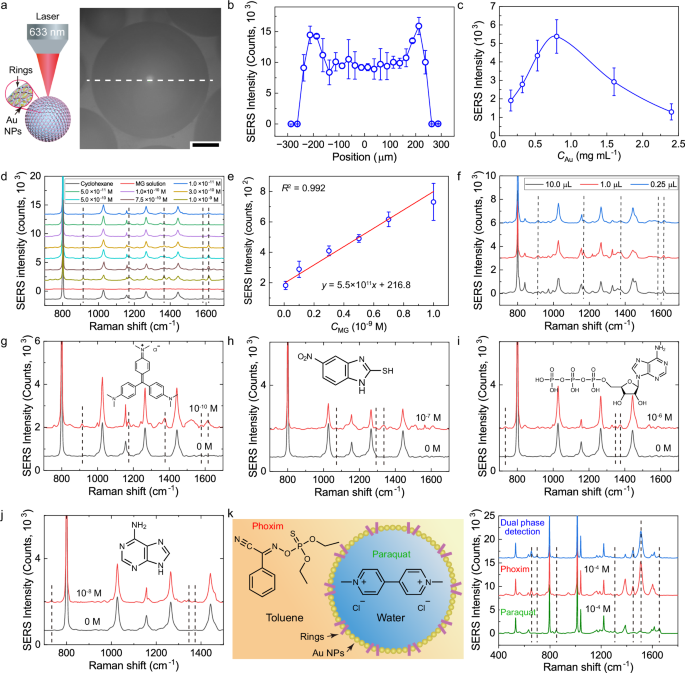 Fig. 5: Au NP-loaded RPE for SERS detection.