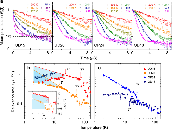 Fig. 5: Quantum critical-like transition with dissolution of static order near OP.