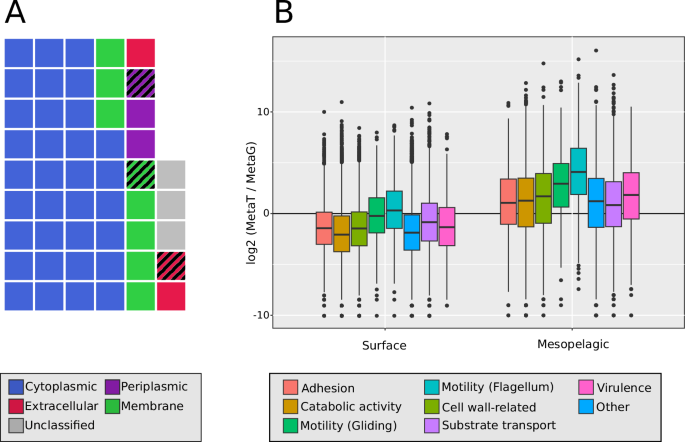 Fig. 3: Extracellular protein function in Tara Oceans dataset.