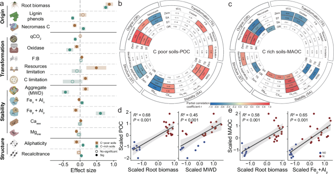 Fig. 3: Effects of long-term nitrogen fertilization on the origin, transformation, and stability of carbon pools, as well as key indicators of carbon pool dynamics.