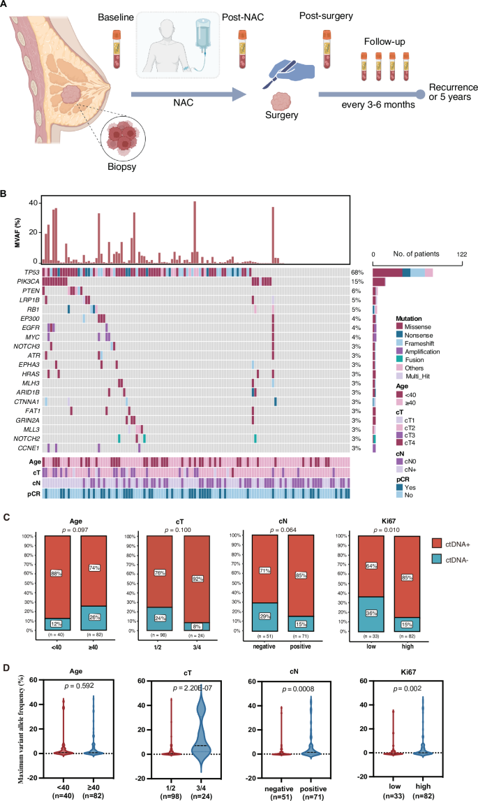 Fig. 1: Study schematic and baseline ctDNA characteristics.