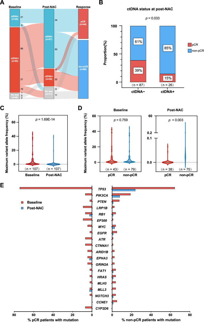 Fig. 2: The dynamic response of ctDNA throughout NAC.