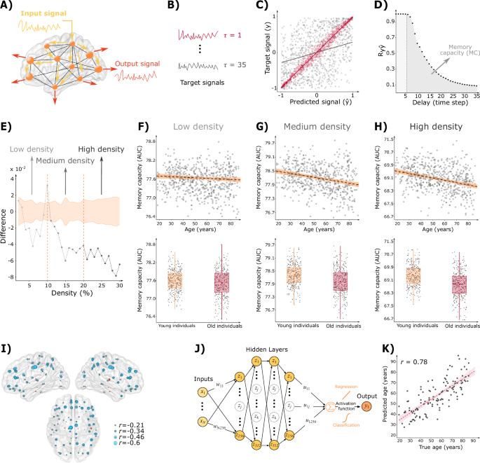 Fig. 1: Memory capacity in aging.