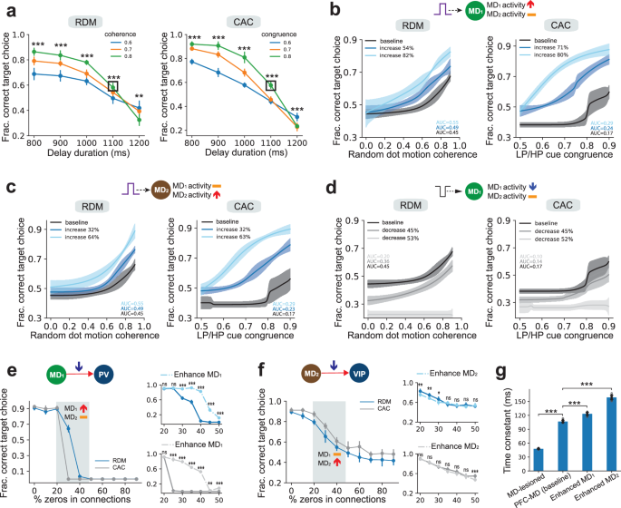 Fig. 4: MD activation enhances working memory maintenance in the PFC-MD network.