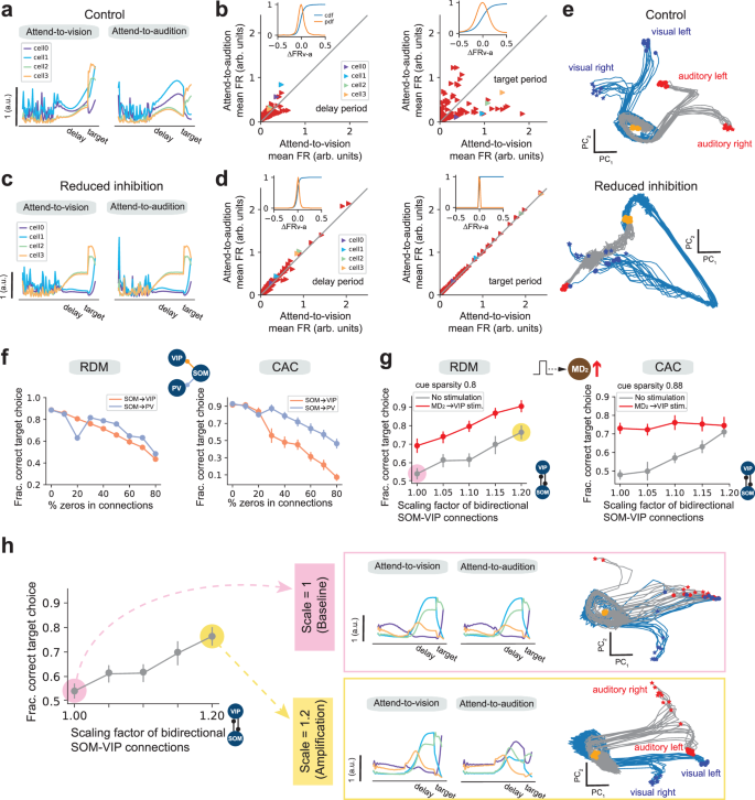 Fig. 5: Parsing cognitive deficits and probing mechanistic causes in PFC-MD networks.