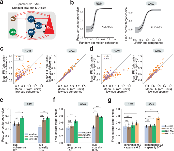Fig. 6: Modified PFC-MD model with imposed sparse corticothalamic connectivity.