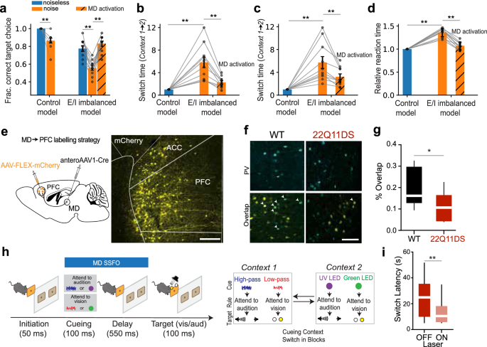 Fig. 9: Computational prediction and experimental testing on a schizophrenia mouse model.