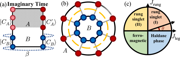 Fig. 1: The schematic diagram of sampling reduced density matrix and the characters of Heisenberg ladder.