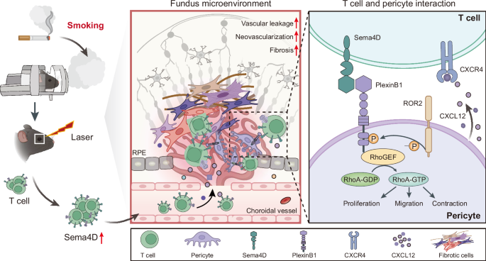 Fig. 9: Working model.