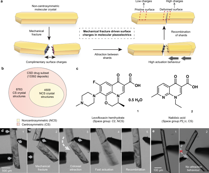 Fig. 1: Mechanistic insights into the fracture-driven surface charges in pharmaceutical crystals.