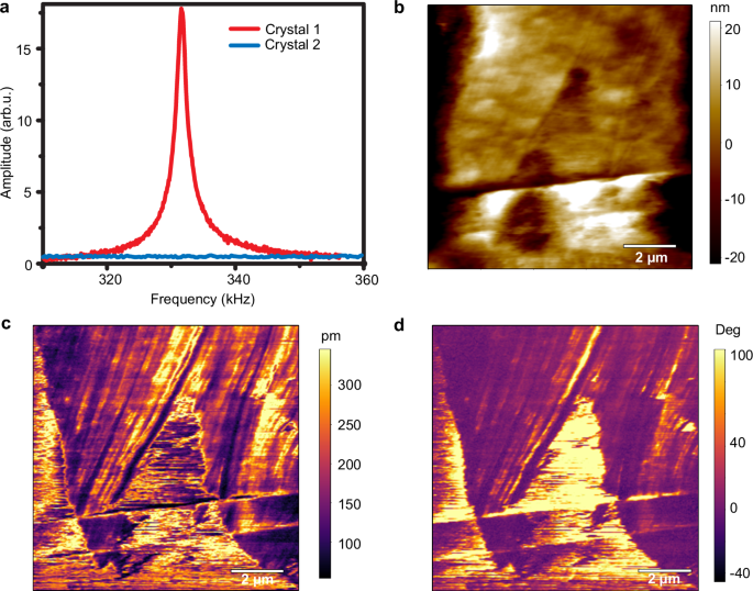 Fig. 3: Characterisation of piezoelectric properties.