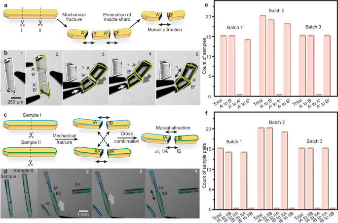 Fig. 5: Multiscale analyses of mutual attraction behaviour between fractured shards of crystal 1.