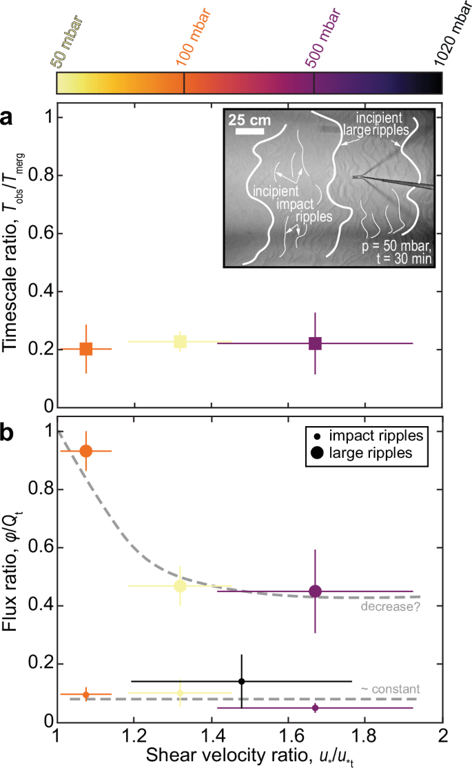 Deformable Ripples Ripples formed in low-pressure wind tunnels suggest Mars’s large ...