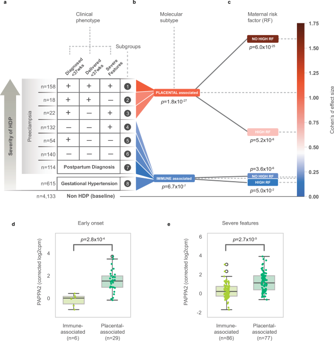 Fig. 2: Effect size of PAPPA2 in different populations.