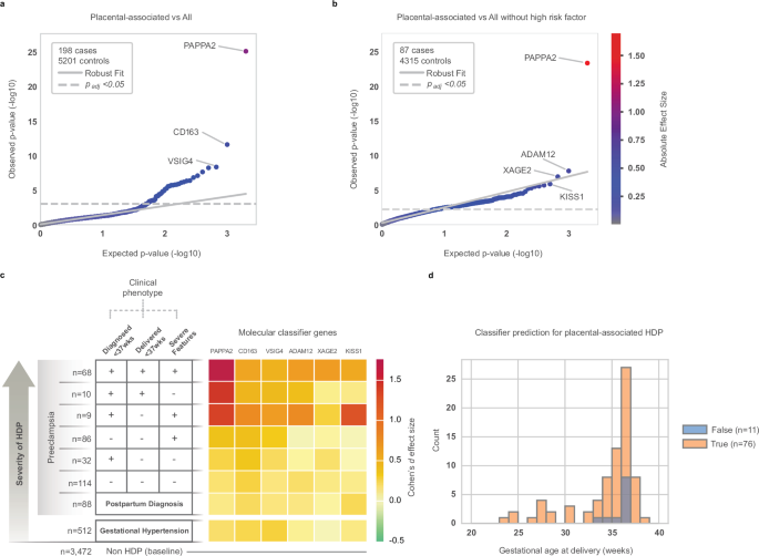 Fig. 4: Differential gene expression and classifier predictions for placental-associated HDP.