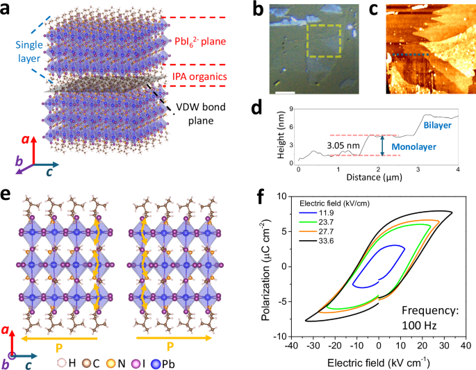 A 2D hybrid perovskite ferroelectric with switchable polarization and ...