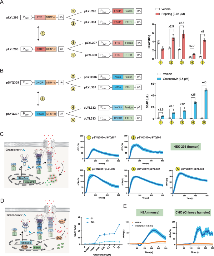 Fig. 3: Design and construction of drug-inducible CRAC activators.