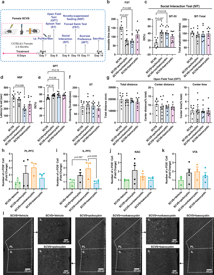 Fig. 6: Antidepressant effects of psilocybin and its biosynthetic intermediates.