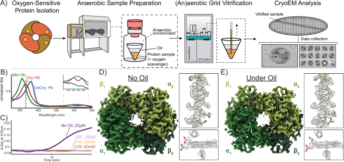 Fig. 1: Development of the (an)aerobic SPT Labtech chameleon grid vitrification protocol.