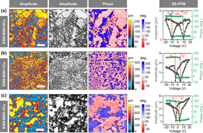 Fig. 3: Mesoscopic ferroelectric domain structure.